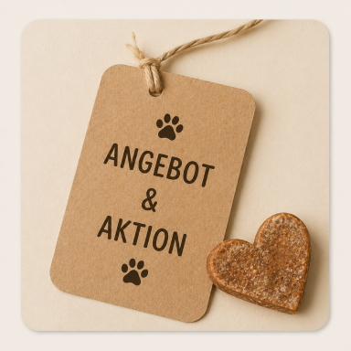 Angebote & Aktionen
